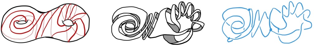 A picture of a long geodesic on a hyperbolic surface